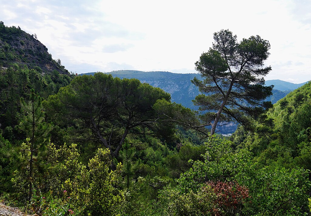 etancheite toit terrasse Alpes-Maritimes