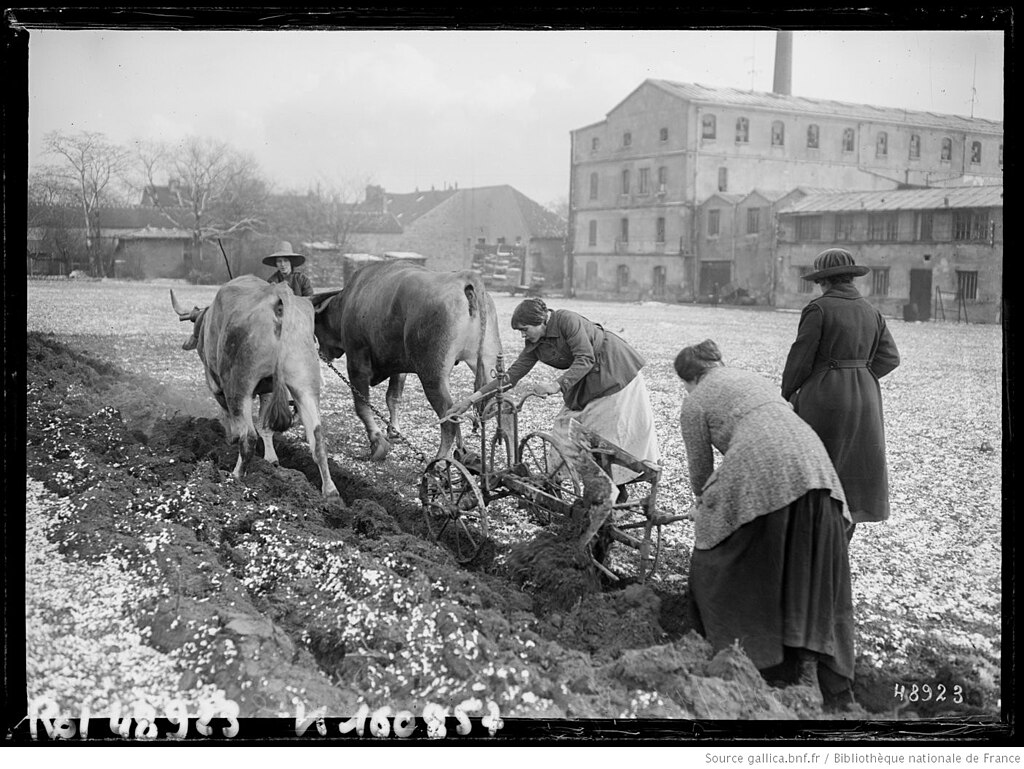etancheite toit terrasse Val-de-Marne