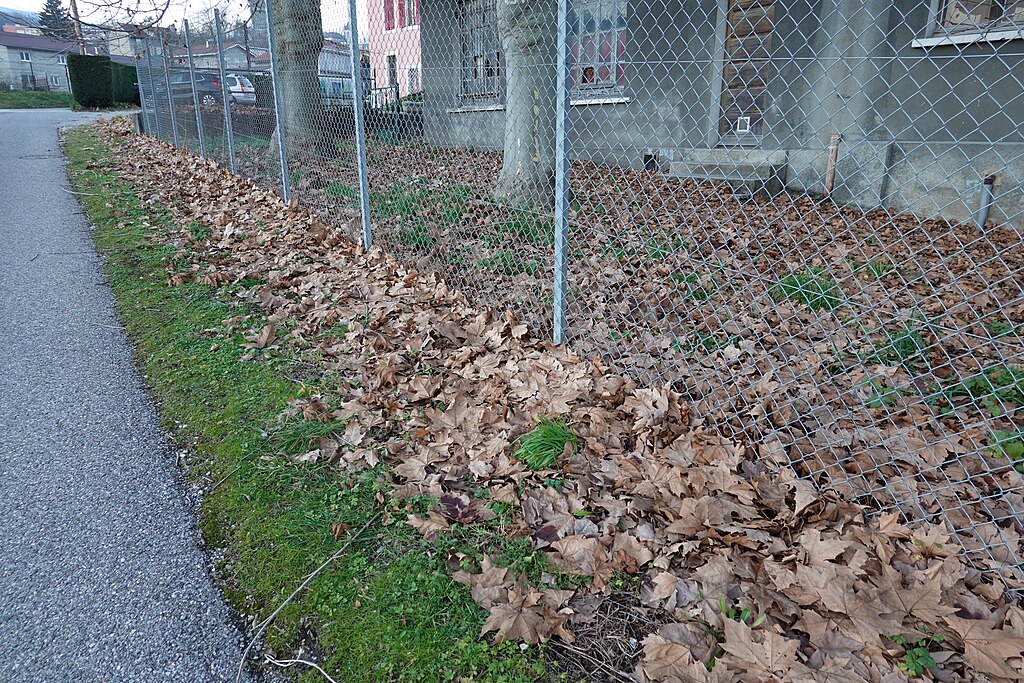 etancheite toit terrasse Bellegarde-sur-Valserine