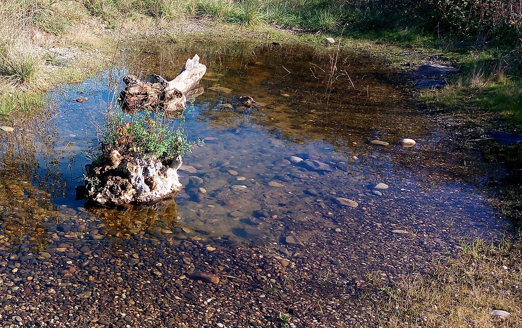 etancheite toit terrasse Wittenheim
