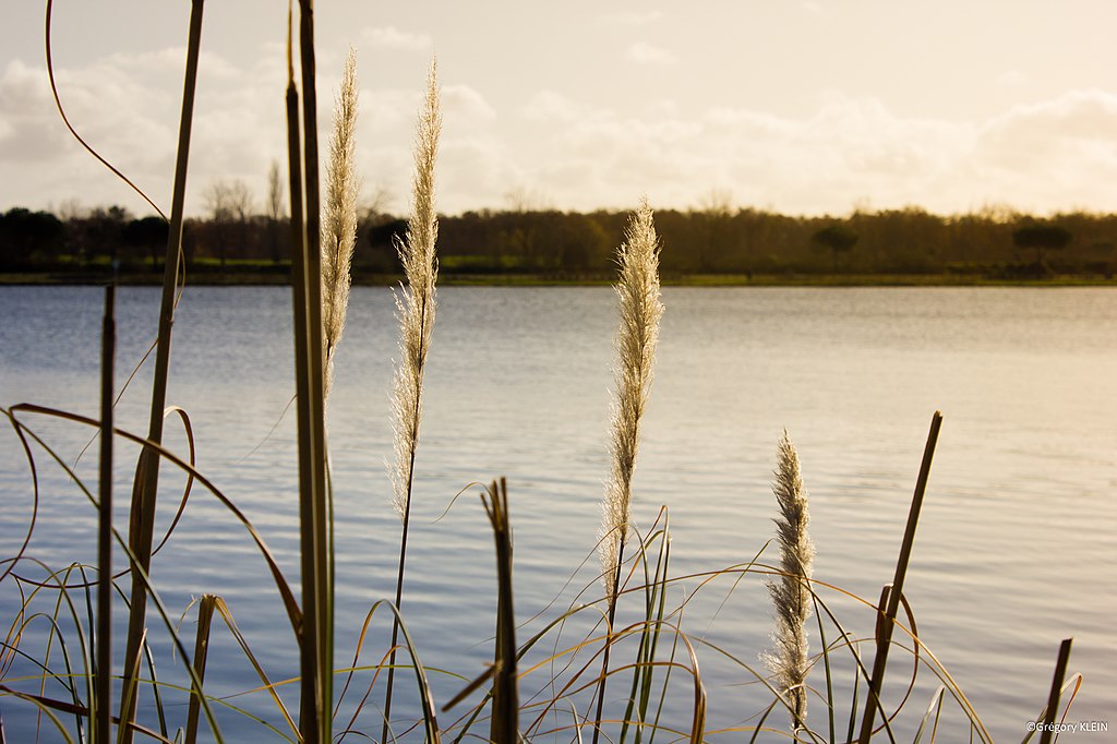 etancheite toit terrasse Tournefeuille