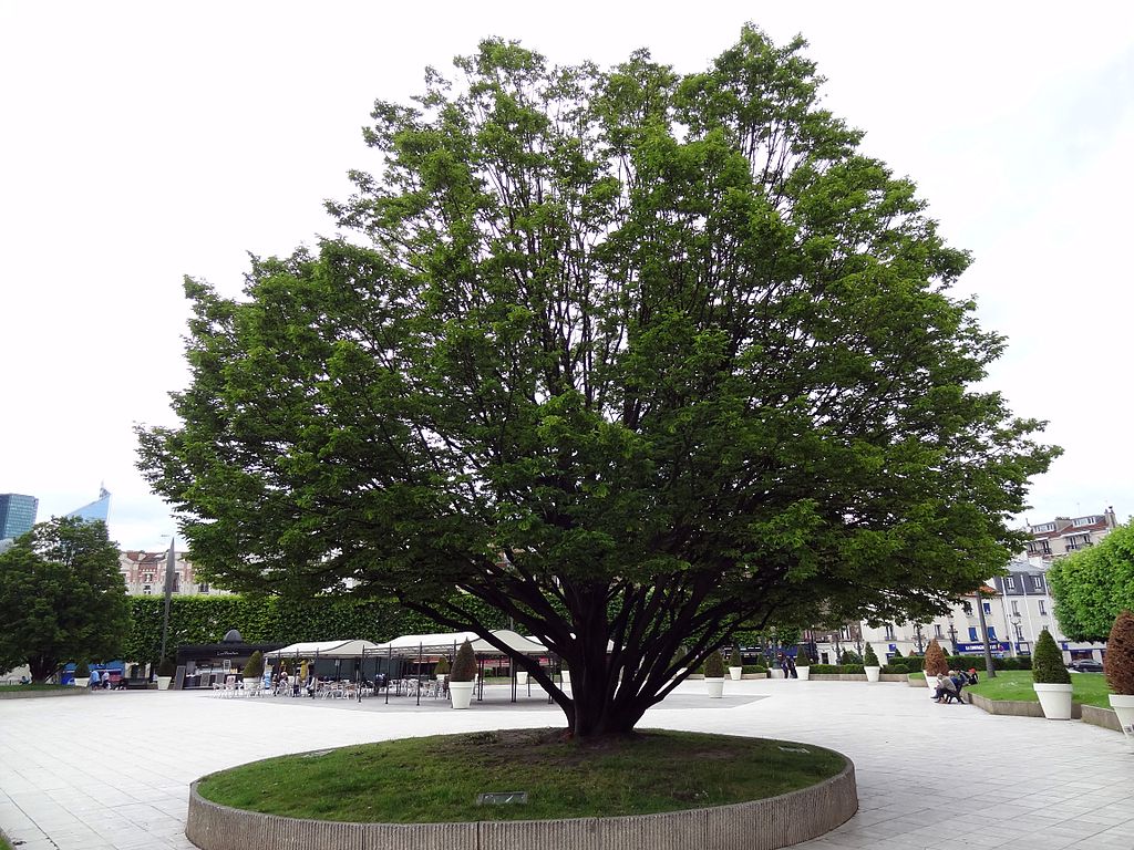 etancheite toit terrasse Puteaux