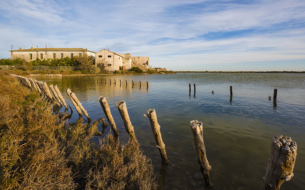 etancheite toit terrasse Frontignan