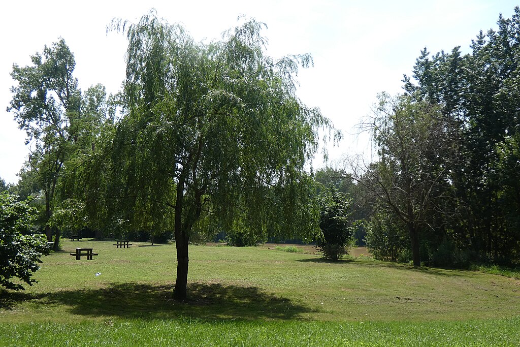 etancheite toit terrasse Marmande